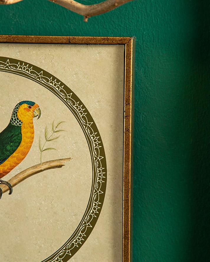 Tablou, Parrot, mdf, 20x20 cm, galben