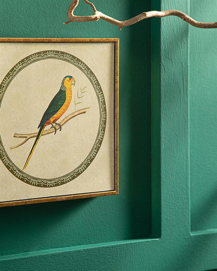 Tablou, Parrot, mdf, 20x20 cm, galben