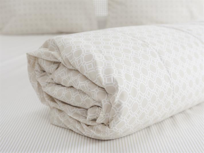 Tudor Ușor De Călcat Single Set Lenjerie De Pat 160x220 cm Bej
