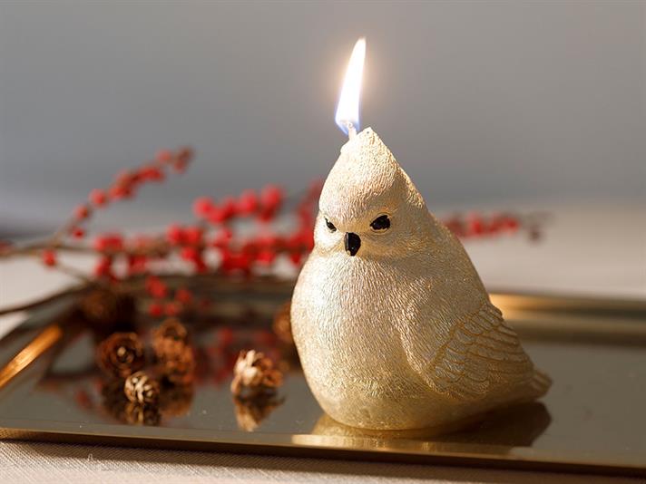 Görsel