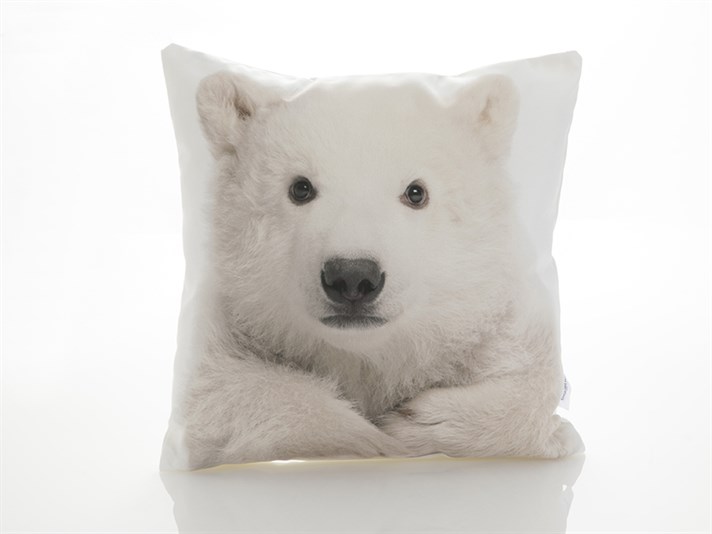 Görsel