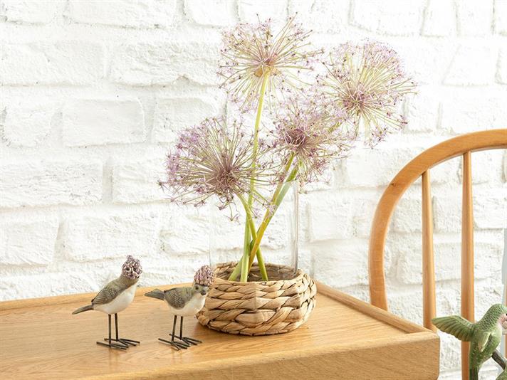 Vază, Marva, sticlă, 18x18x20,5 cm, transparent