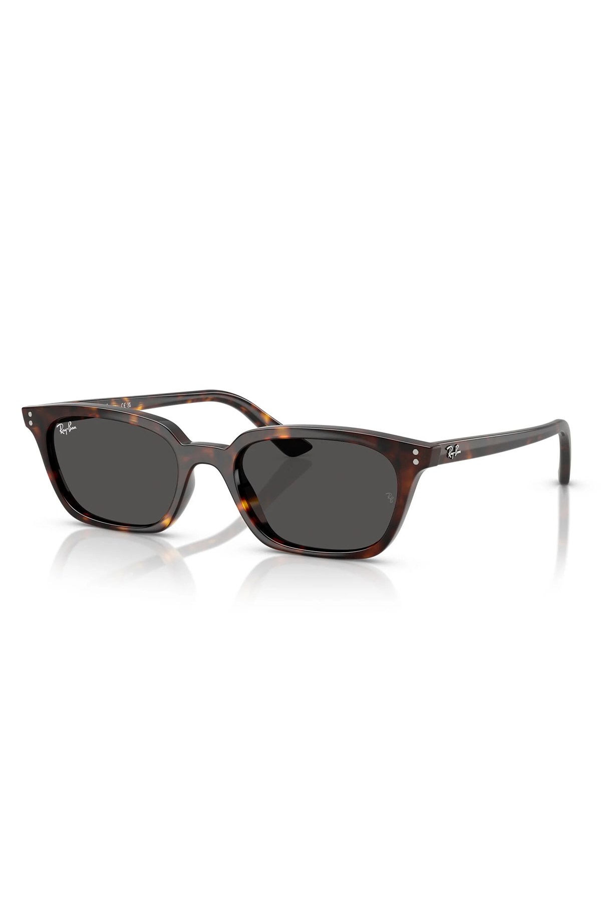 Rayban 4456 1359/87 53 Güneş Gözlüğü