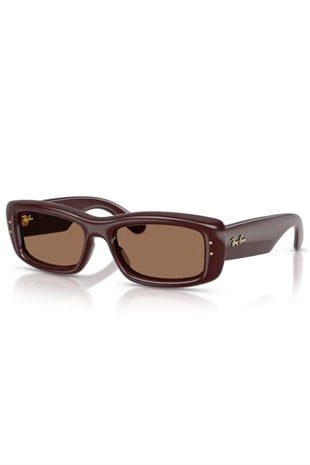 Rayban 4944 6877/73 55 Güneş Gözlüğü