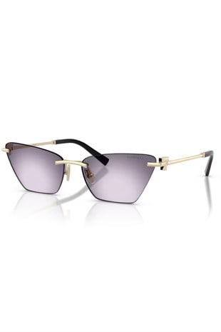 Tiffany&Co 3120 6243/8H 61 Güneş Gözlüğü