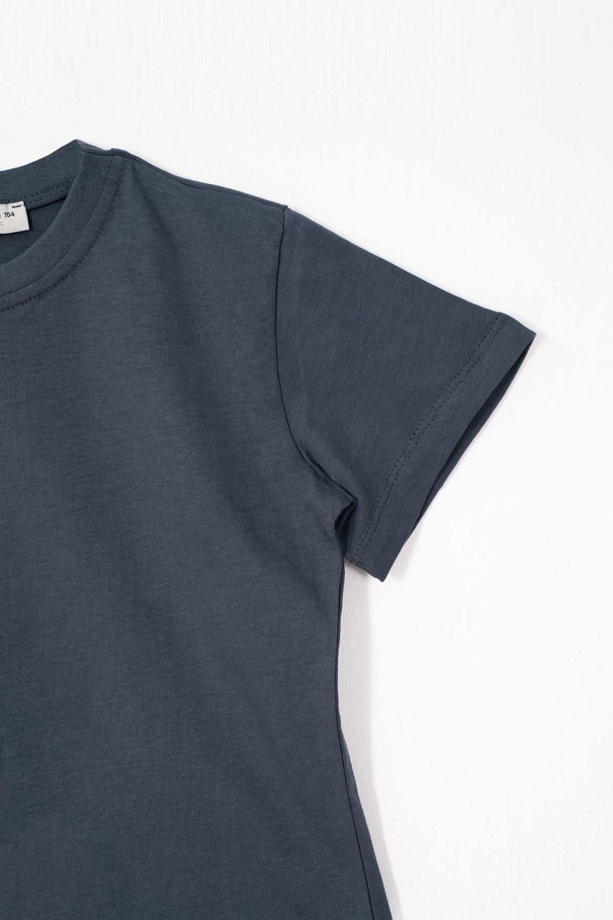 Bisiklet Yaka Füme Renk Erkek Çocuk Tshirt