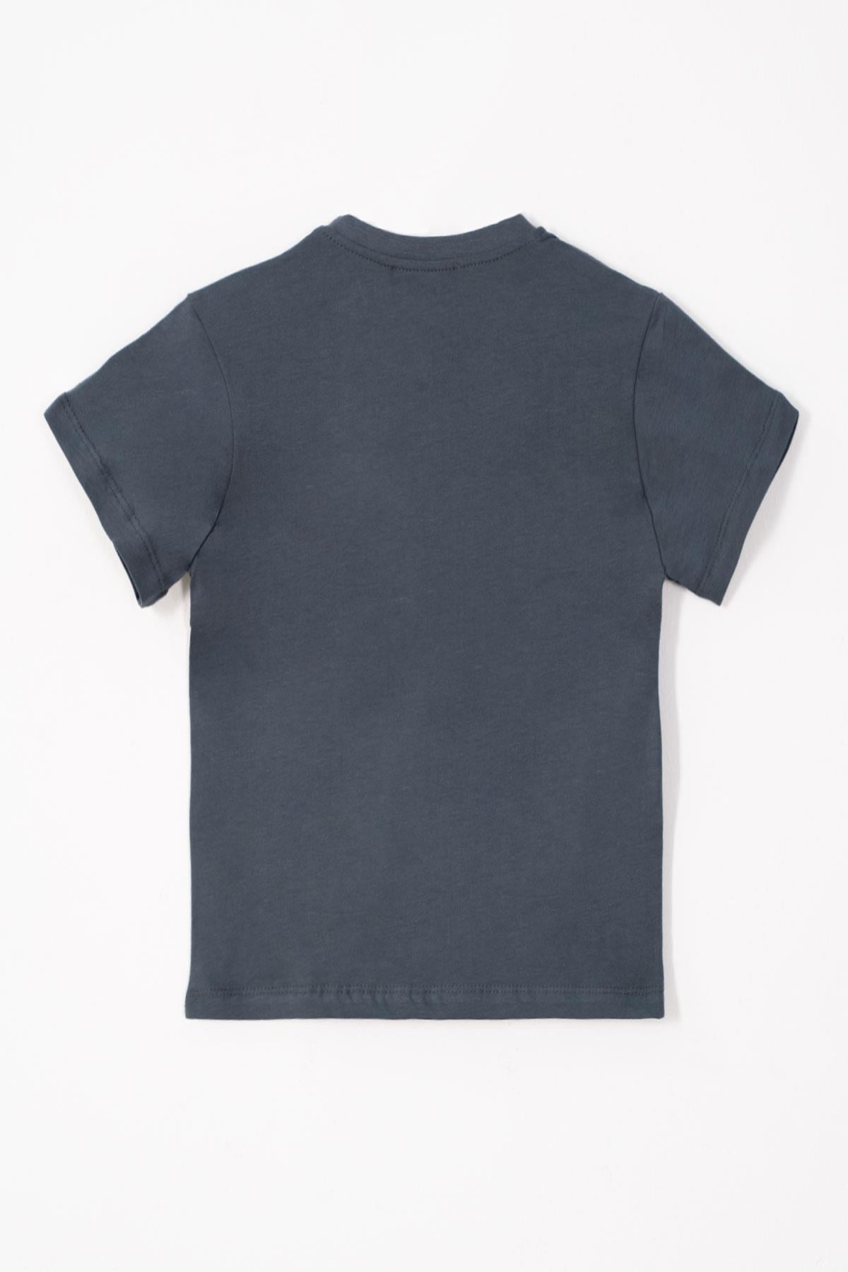Bisiklet Yaka Füme Renk Erkek Çocuk Tshirt