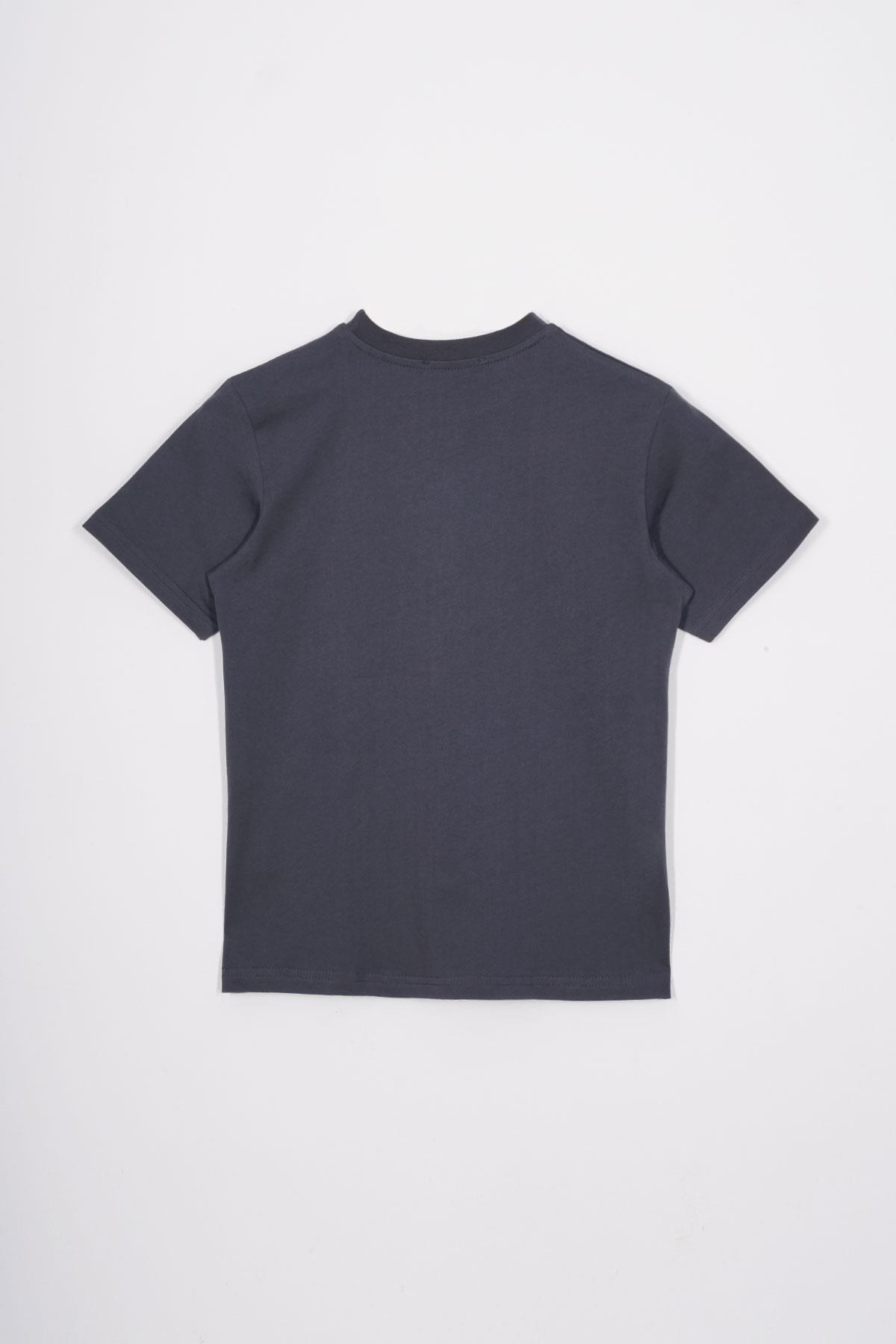 Bisiklet Yaka Kaplan Baskılı Füme Renk Erkek Çocuk Tshirt