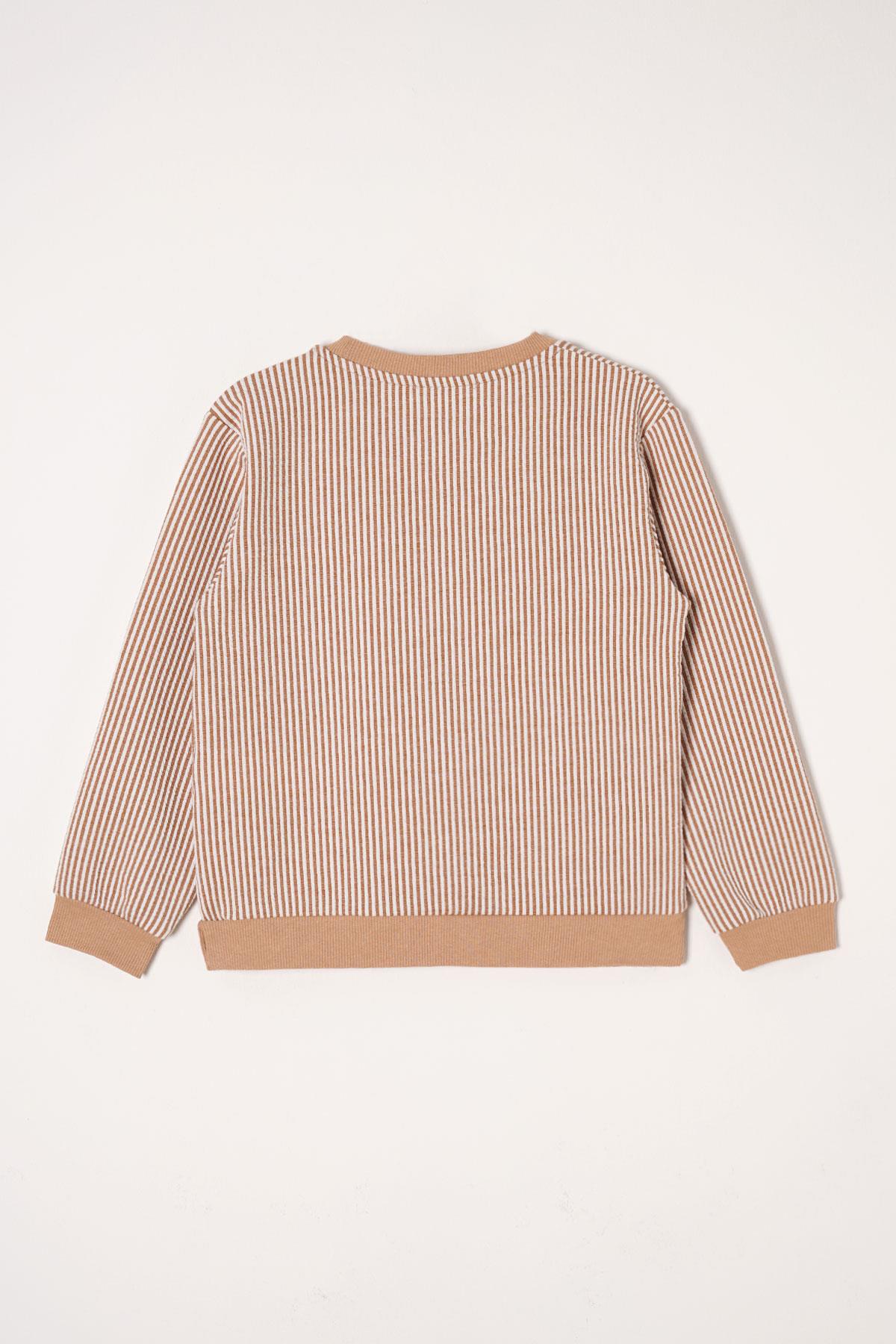 Bisiklet Yaka Tek Cep Vizon Renk Erkek Çocuk Çizgili Sweatshirt