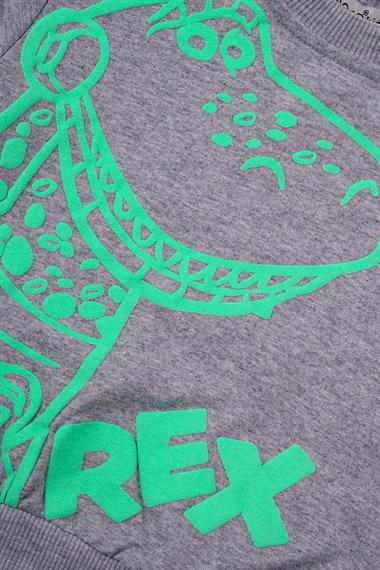 Bisiklet Yaka Uzun Kol Timsah Rex Baskılı Gri Renk Erkek Çocuk İkili Takım