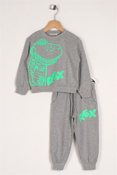 Bisiklet Yaka Uzun Kol Timsah Rex Baskılı Gri Renk Erkek Çocuk İkili Takım
