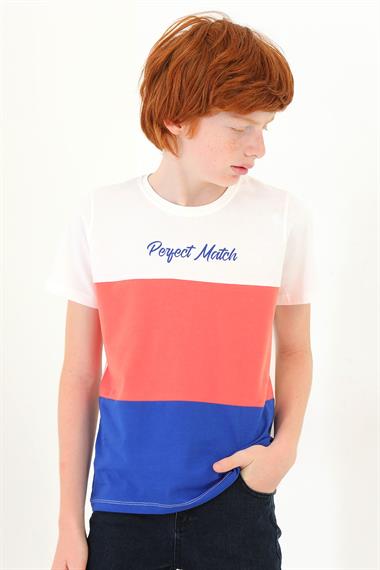 Bisiklet Yaka Kısa Kol Perfect Match Baskı Parçalı Ekru Saks Renk Erkek Çocuk Tshirt