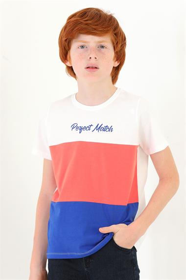 Bisiklet Yaka Kısa Kol Perfect Match Baskı Parçalı Ekru Saks Renk Erkek Çocuk Tshirt