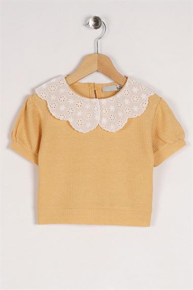Bebe Yaka Dantelli Mini Kareli Hardal Renk Kız Çocuk Tshirt
