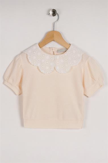Bebe Yaka Dantelli Mini Kareli Ekru Renk Kız Çocuk Tshirt