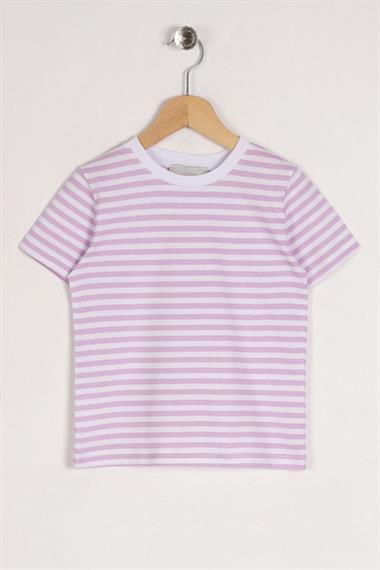 Bisiklet Yaka Kısa Kol Çizgili Lila Renk Tshirt