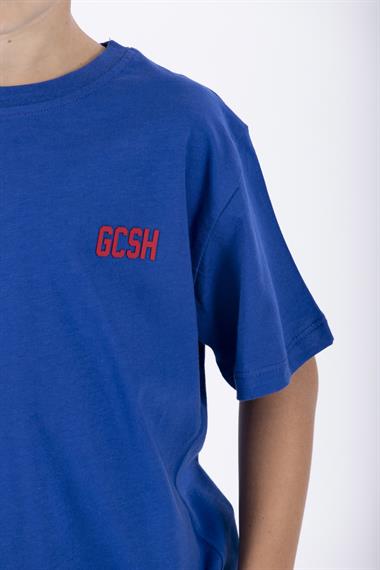 Bisiklet Yaka Kısa Kol Arma Baskılı Saks Renk Erkek Çocuk Şortlu Takım