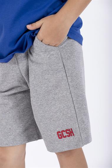 Bisiklet Yaka Kısa Kol Arma Baskılı Saks Renk Erkek Çocuk Şortlu Takım