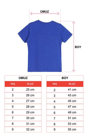 Bisiklet Yaka Kısa Kol Araba Baskılı Saks Renk Erkek Çocuk Tshirt