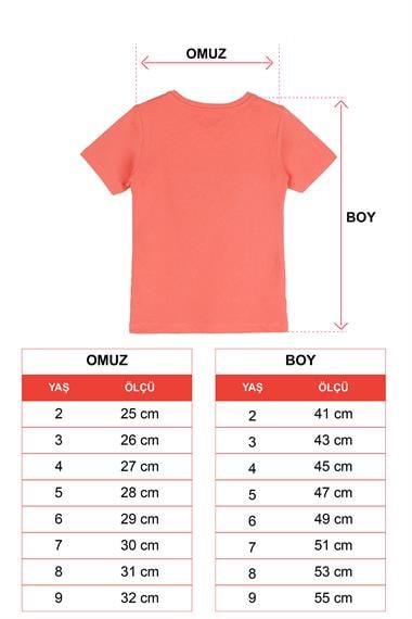 Bisiklet Yaka Kısa Kol Araba Baskılı Taba Renk Erkek Çocuk Tshirt