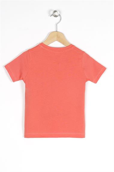 Bisiklet Yaka Kısa Kol Araba Baskılı Taba Renk Erkek Çocuk Tshirt