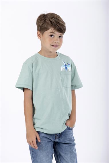 Bisiklet Yaka Kısa Kol Balına Baskılı Cagla Yesil Renk Erkek Çocuk Tshirt