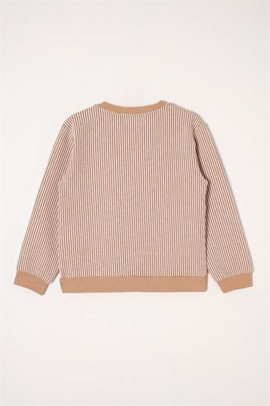 Bisiklet Yaka Tek Cep Vizon Renk Erkek Çocuk Çizgili Sweatshirt