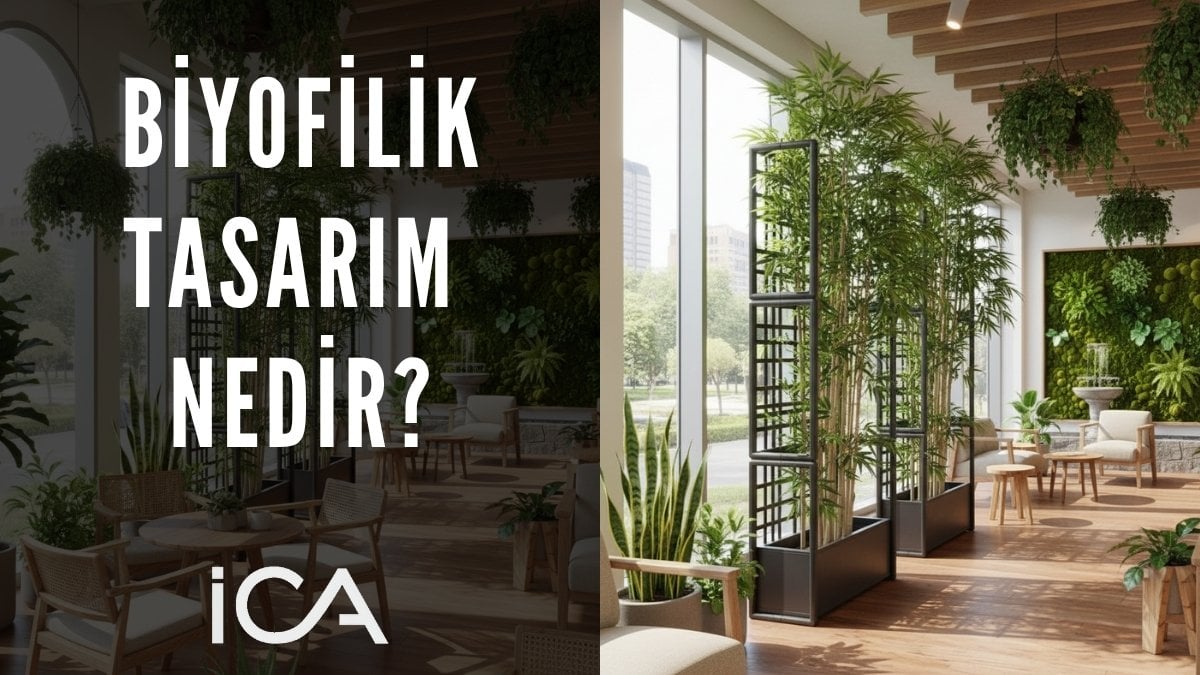Biyofilik Tasarım Nedir?  blog başlık görseli