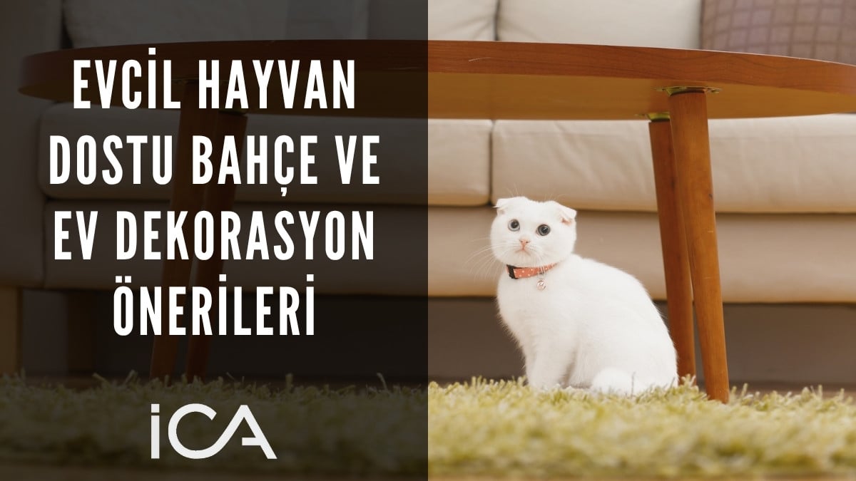 Evcil Hayvan Dostu Ev ve Bahçe Dekorasyonu Önerileri