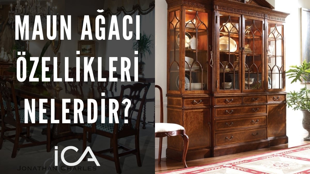 Maun Ağacı Özellikleri ve Maun Mobilyalar