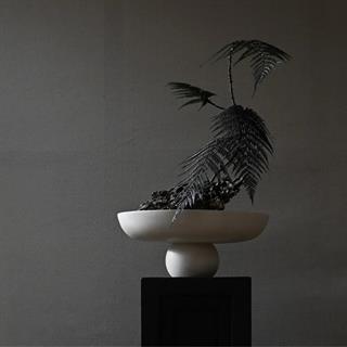 101 Copenhagen Baburu Birch Büyük Dekoratif Kase