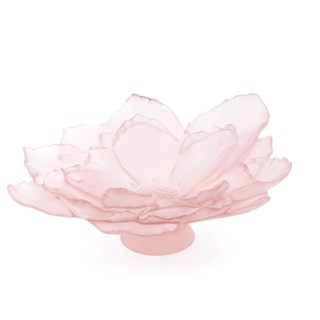 Daum Camelia Rose Large Dekoratif Kase