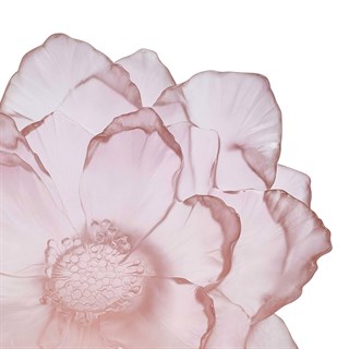 Daum Camelia Rose Large Dekoratif Kase