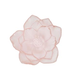 Camelia Dekorotif Kase - Rose - Small