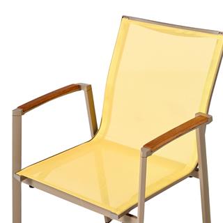 Trica Candy Cappucino Yellow Kollu Sandalye