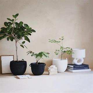 Urban Nature Culture Confit Black Dekoratif Saksı