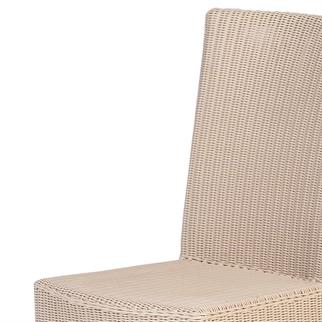 Alfresco Daryll New White High-Back Side Chair