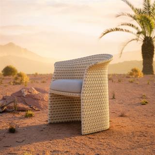 Dedon Fllair Sahara Kolçaklı Sandalye