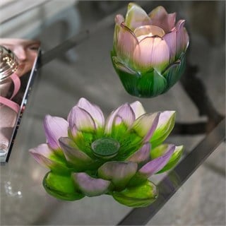 Daum Jardin De Lotus Green Pink Çiçek Obje