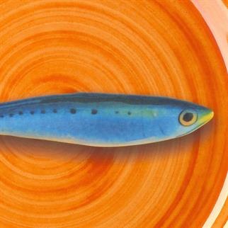 Mario Luca Giusti Aimone Orange Tabak