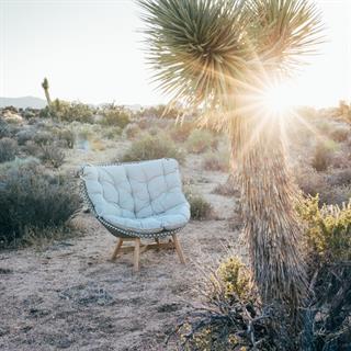 Dedon Mbrace Sea Salt Yüksek Sırtlı Koltuk