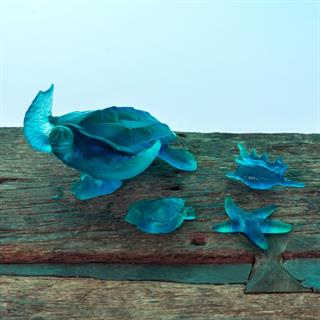 Merde Corail Deniz Kabuğu Objesi - Blue - Small