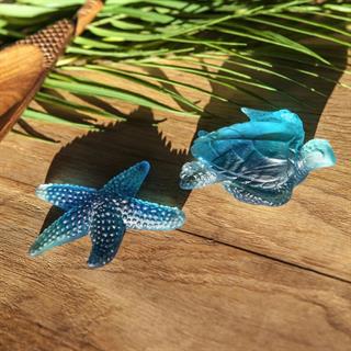 Merde Corail Deniz Yıldızı - Small- Blue