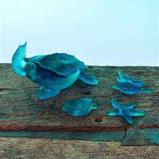 Merde Corail Kaplumbağa Objesi - Blue