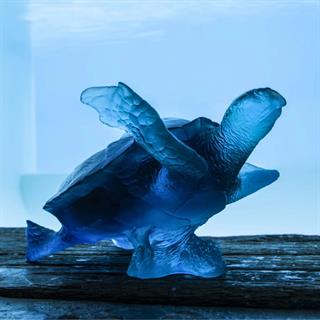 Merde Corail Kaplumbağa Objesi - Blue