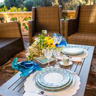 Merde Corail Kaplumbağa Objesi - Blue