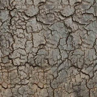 Ethnicraft Pentagon Lava Whisky Konsol