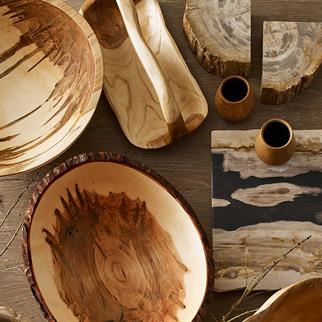 Mitchell Gold+Bob Williams Petrified Kitap Desteği