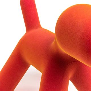 Puppy Small Dog-Orange Iridescent (02)