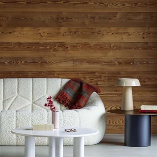 Ligne Roset Shiitake Cannelle Masa Lambası